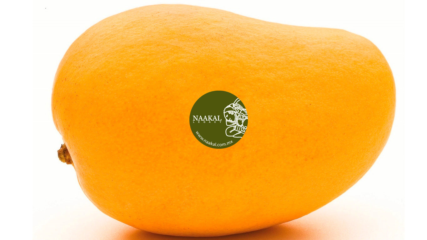 Mango Ataulfo del Soconusco, Chiapas